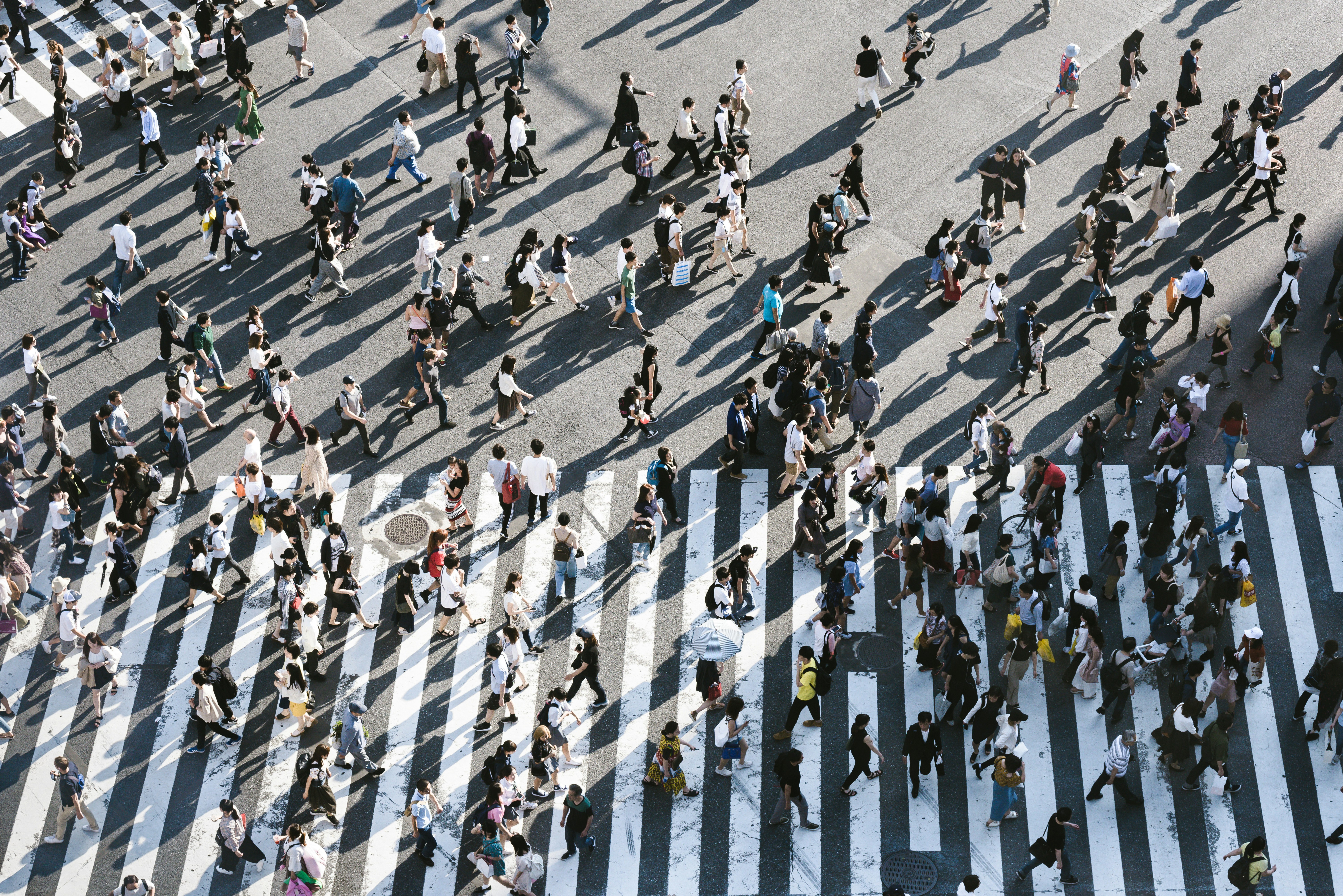 A birds eye photograph of many people walking in different directions over a zebra crossing.
